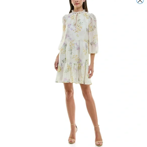 NWT Taylor Ruffle Hem Smock Dress Size XS - Picture 5 of 13